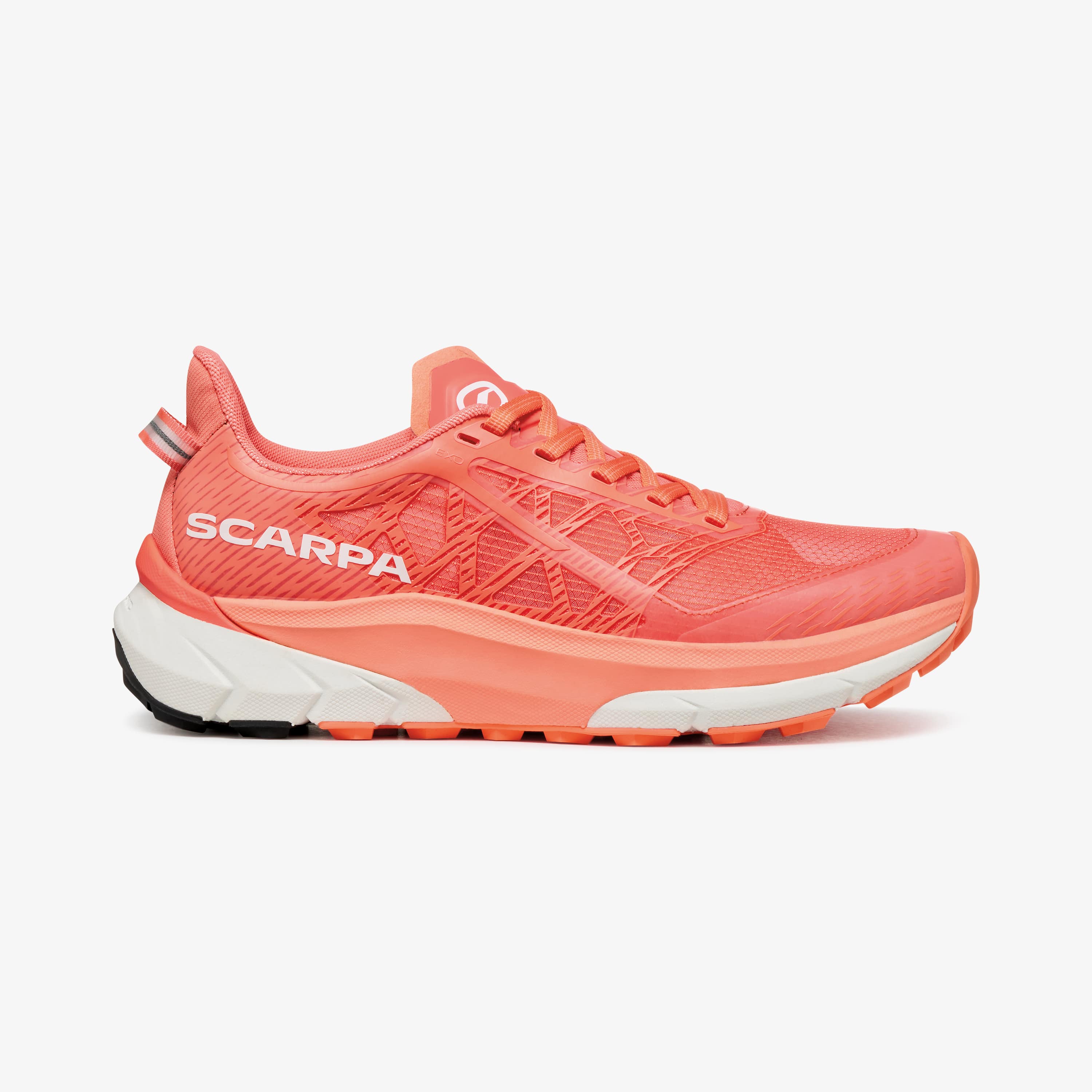 Trail Running Shoes for on/off trails